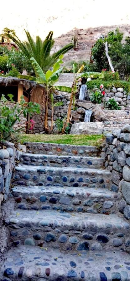 Eden Lodge Cabanaconde Bagian luar foto
