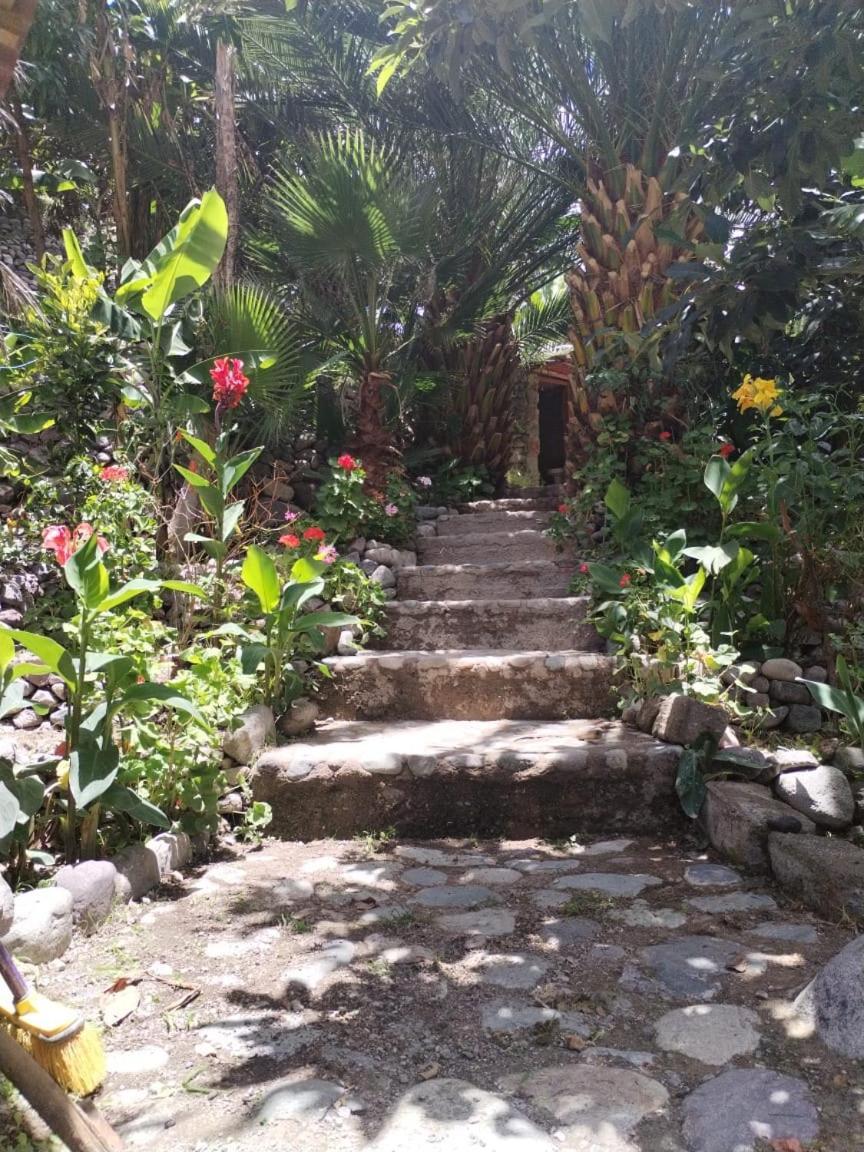 Eden Lodge Cabanaconde Bagian luar foto